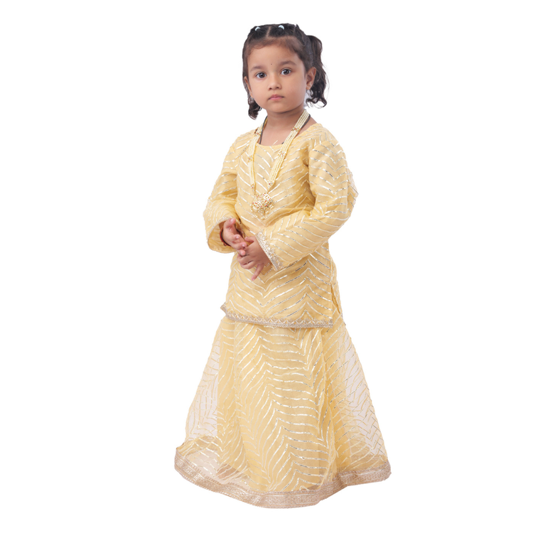 Radha dress for kids golden embroidered lehenga detail