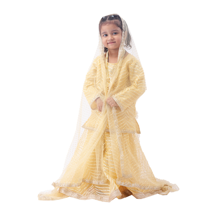 Radha Krishna couple costume golden lehenga choli pose